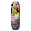 Skateboard Café - Brian Lotti - Courts Deck 2 8.5”