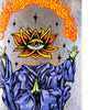 Welcome skateboards Rebirth - Ryan Reyes Pro Model on 8.5 Popscicle (Glitter Prism Foil)